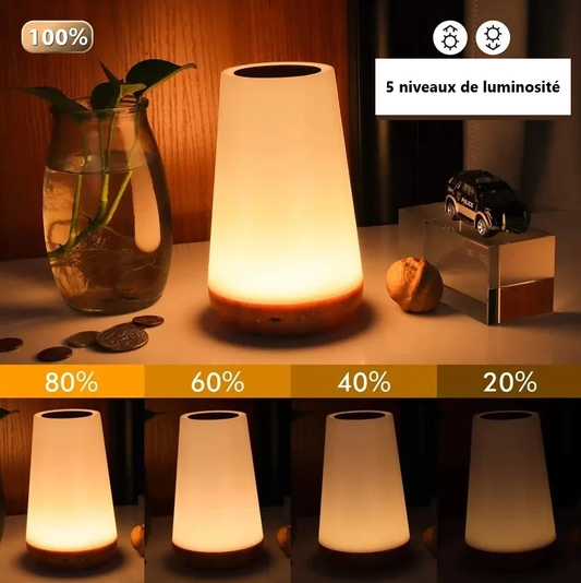 Lampe de Chevet Tactile avec Affichage Coloré à 13 Options